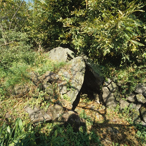 竹原笹塚古墳【市指定史跡】