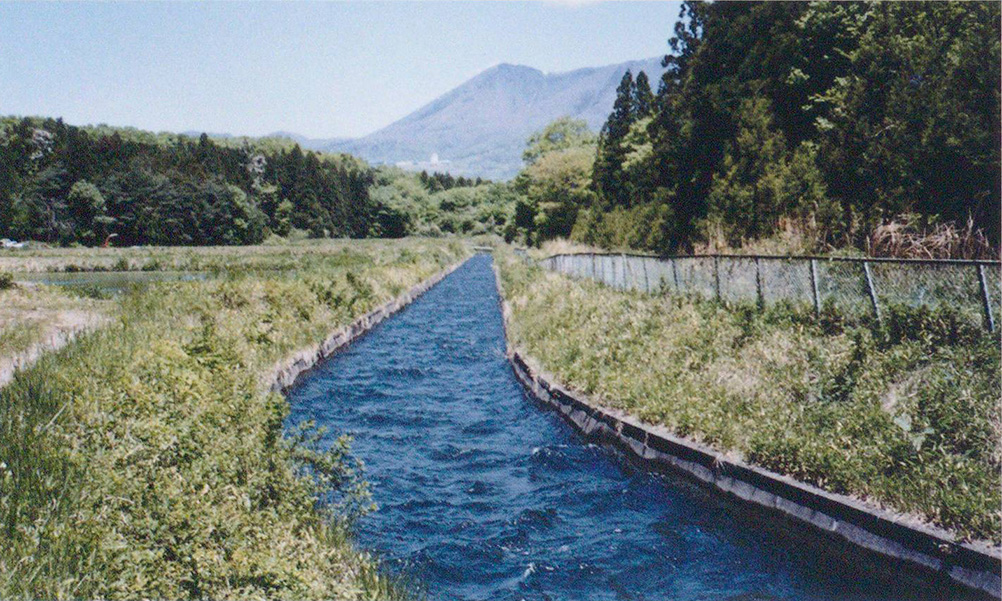 「亀山道」やや上流部の本幹水路