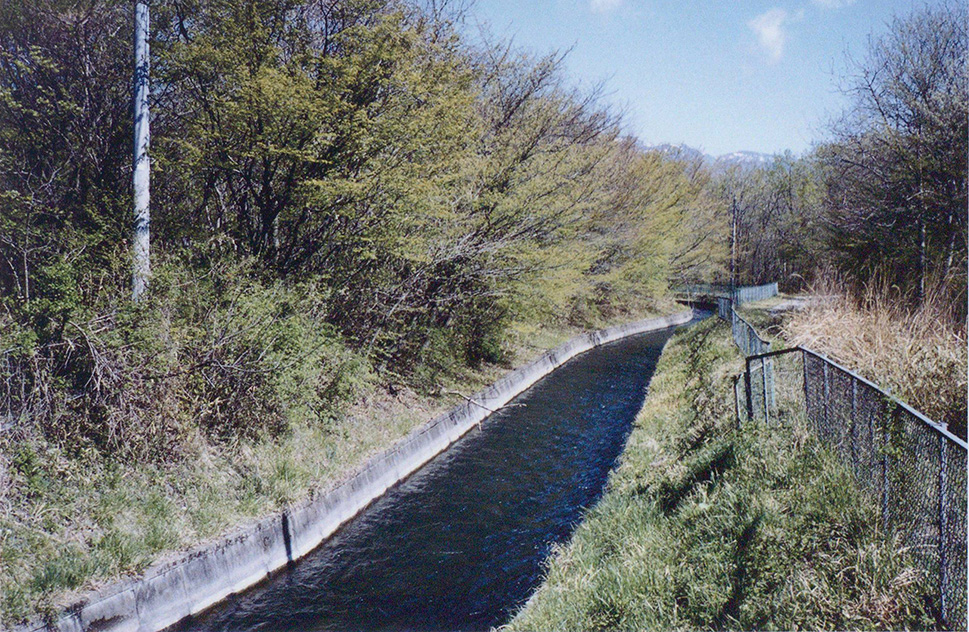 「境橋」やや上流部の本幹水路