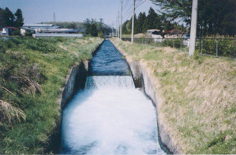 青木北東部の本幹水路