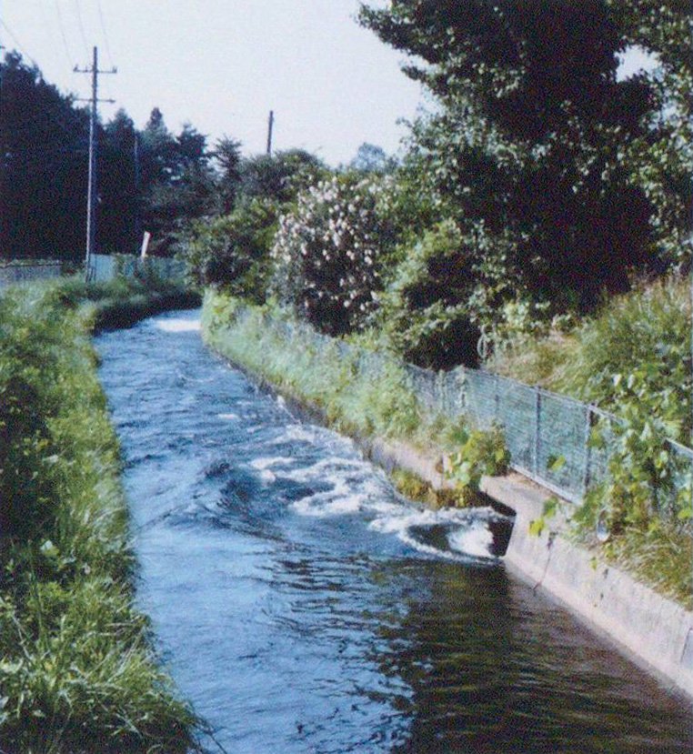 戸田調整池からの放水路の合流地点