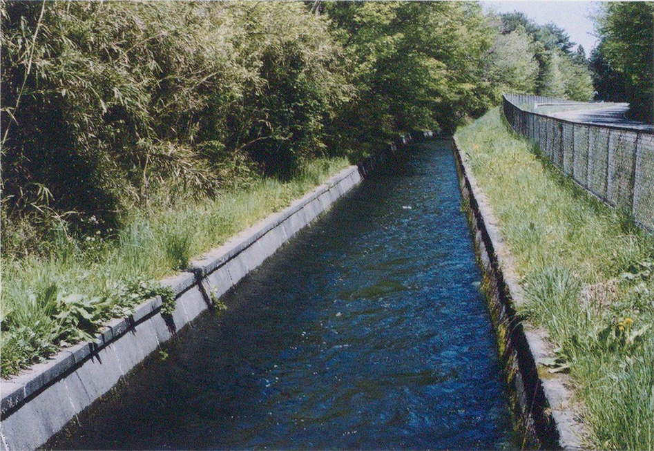 青木南西部？の本幹水路