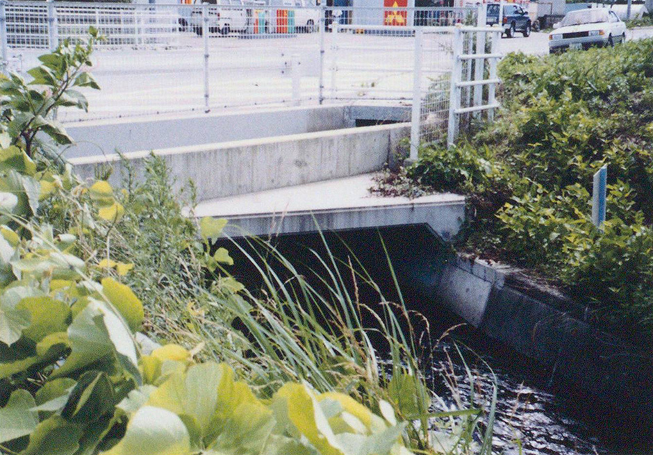 高林街道・巻川用水横断地点の本幹水路