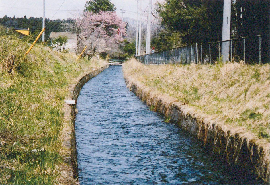 高林街道下流部の本幹水路