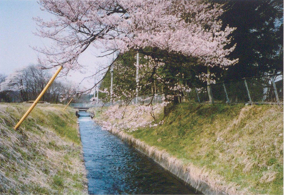 洞島の本幹水路