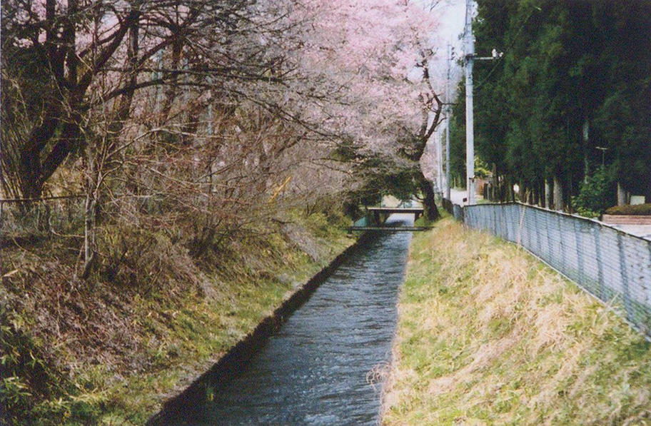 洞島の本幹水路