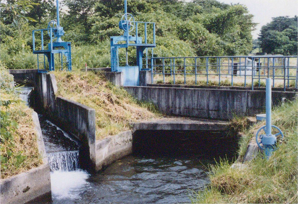 蟇沼用水交差点の本幹水路（横林）