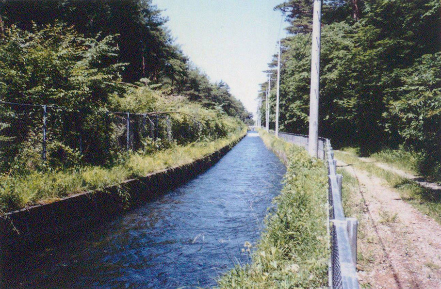 千本松の本幹水路