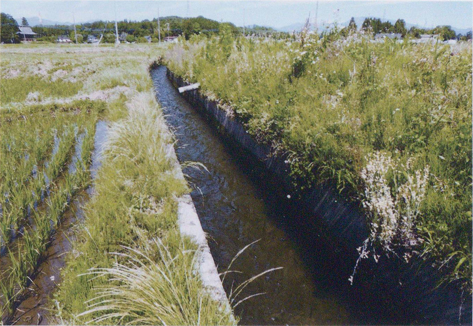 沼野田和を流れる第二分水品川堀