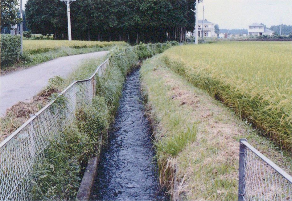 大田原市市野沢を流れる第二分水品川堀