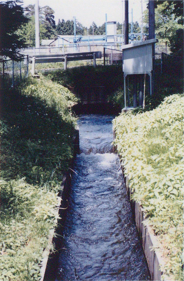 分水口すぐ下流部の第三分水