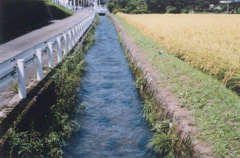 フタがかけられてない二区町の第四分水縦堀