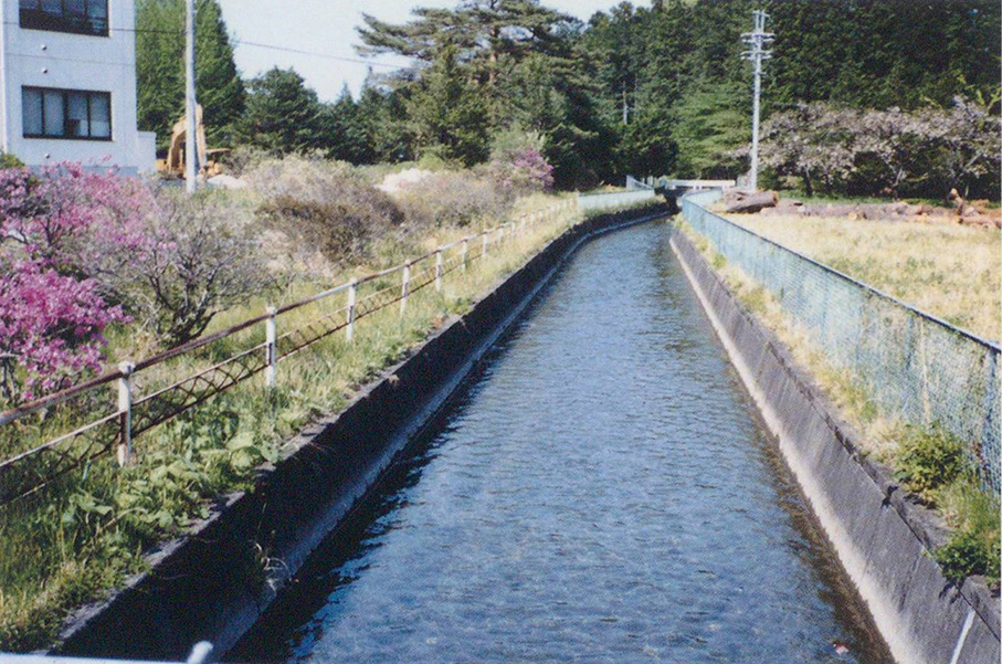 千本松を流れる第四分水西堀