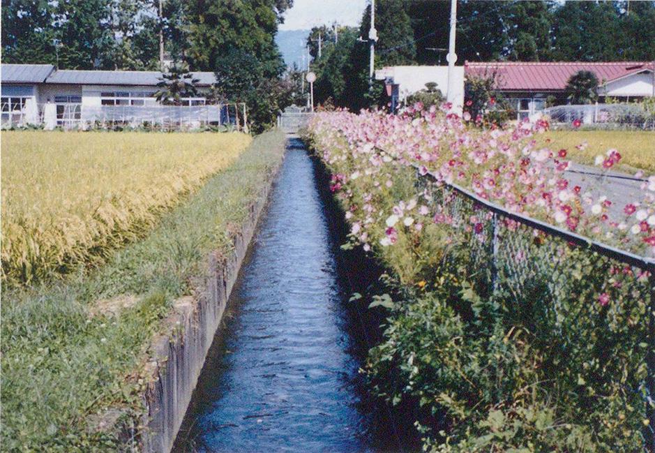 一区町を流れる第四分水西堀