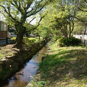 調べ学習用地域資料カードへ