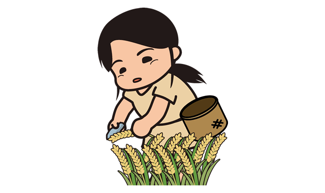 稲を刈る人