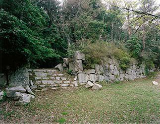 史跡　観音寺城跡