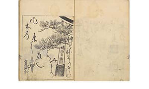 俳諧二重染-7
