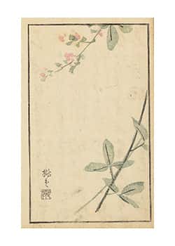 萩