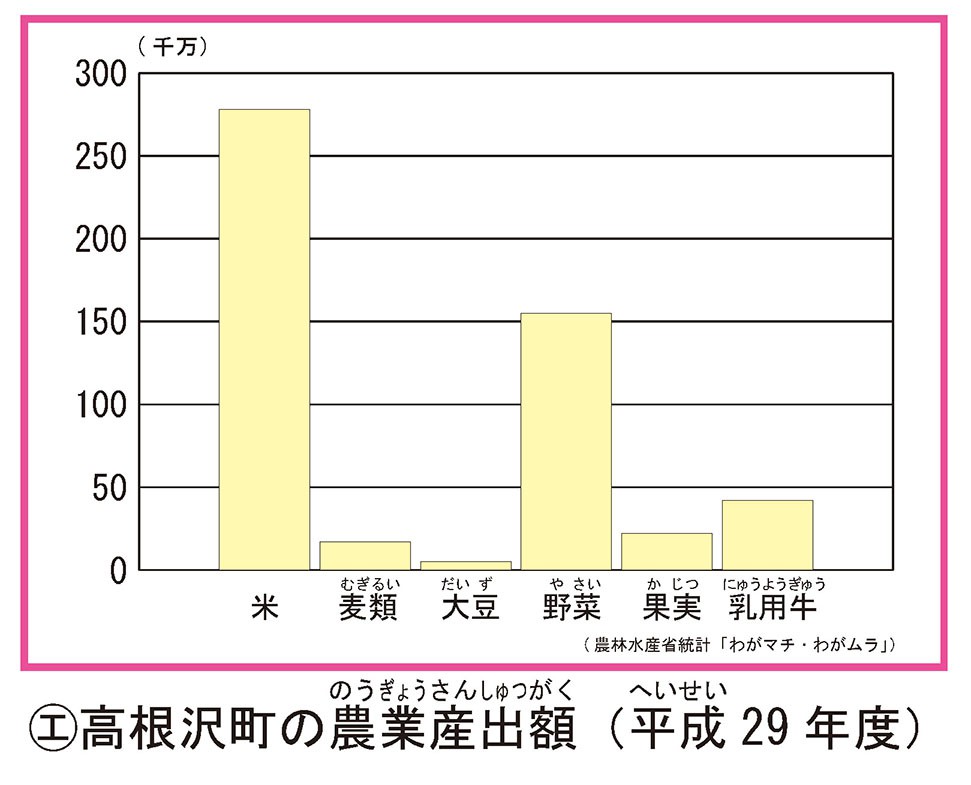 高根沢町の農業算出額（平成29年度）