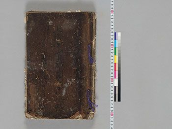 天正十九年上総国山邊郡山田村水帳