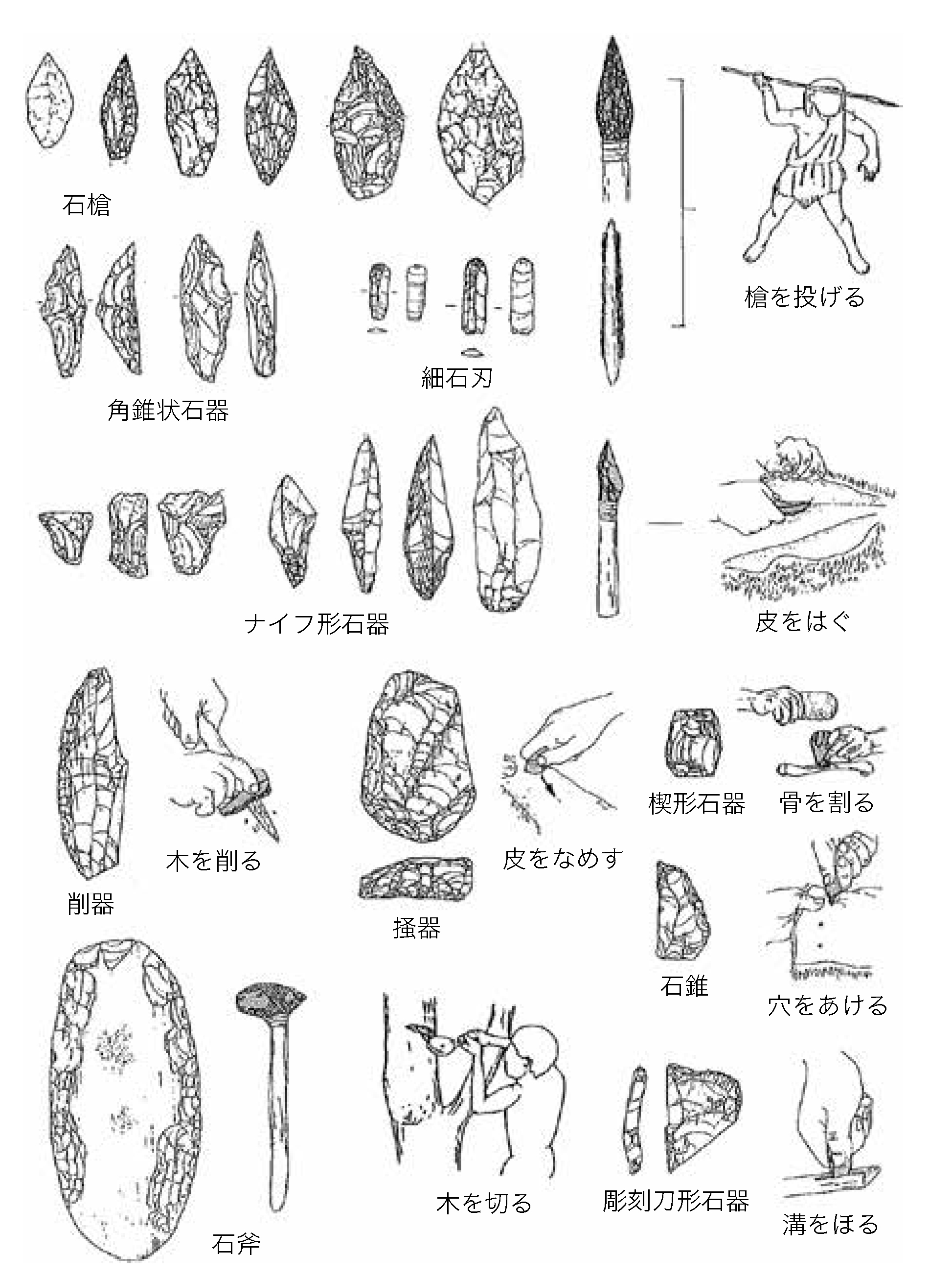 テキスト / 石器の種類