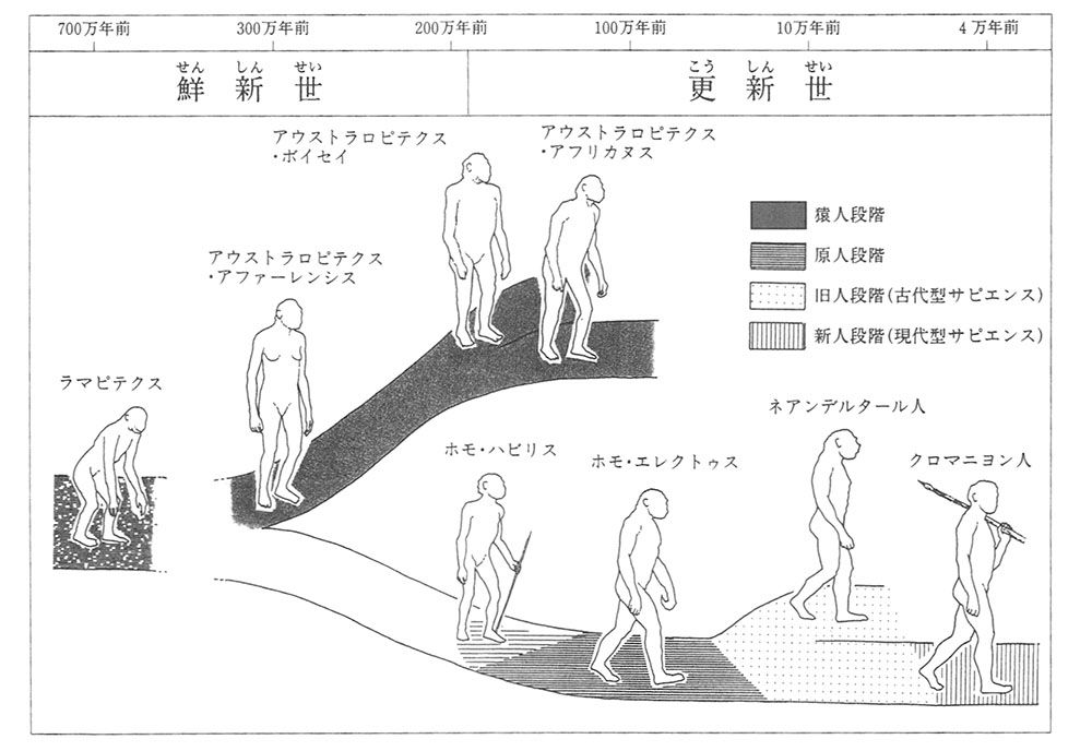 1 人類の出現】