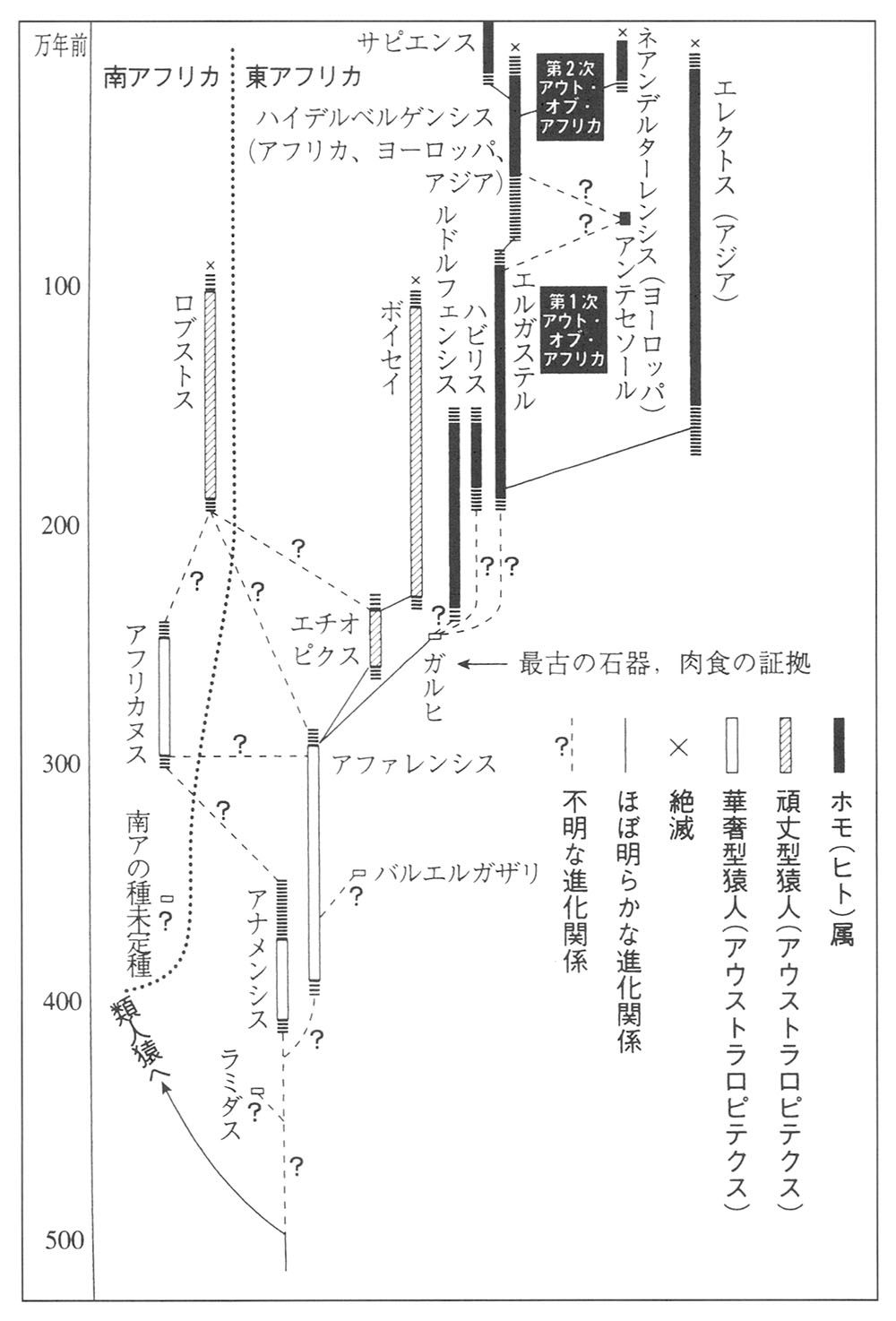 1 人類の出現】