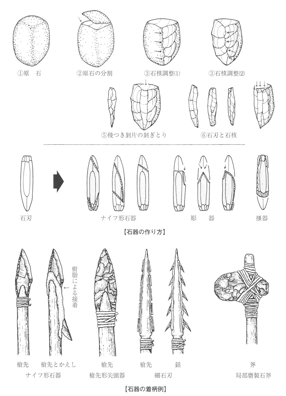 テキスト / 4 旧石器文化の特徴と発展